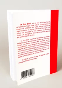 livre blanc entreprise